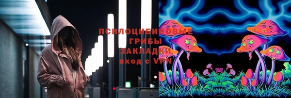 скорость Заводоуковск