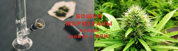 ГАЛЛЮЦИНОГЕННЫЕ ГРИБЫ Заволжск