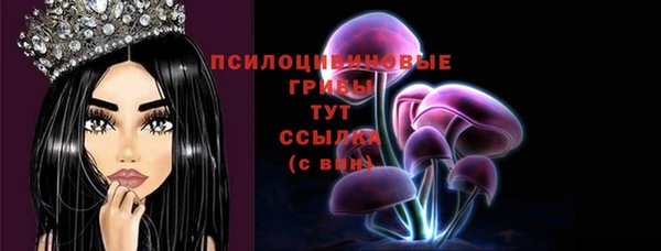 скорость Заводоуковск