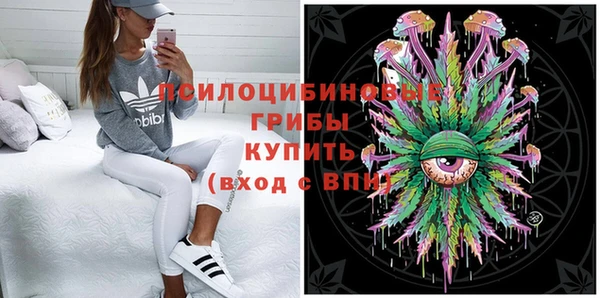 ГАЛЛЮЦИНОГЕННЫЕ ГРИБЫ Заволжск