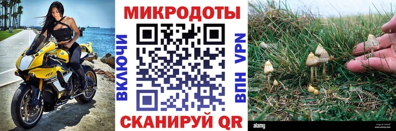 Псилоцибиновые грибы мухоморы  Купить  Воркута 