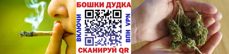 Купить где  Воркута  Конопля SATIVA & INDICA 